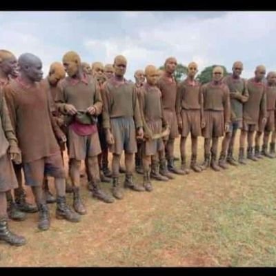 jamu254's profile picture. 