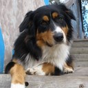 Kerry Whiteside - @KerryWhiteside - Twitter