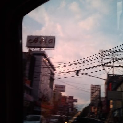 merlinnau's profile picture. 🌹