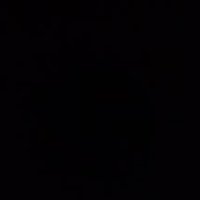 Quartolio (@quartolio) 's Twitter Profile