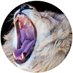 الديب (@ahmedali2023121) Twitter profile photo الديب (@ahmedali2023121) Twitter profile photo