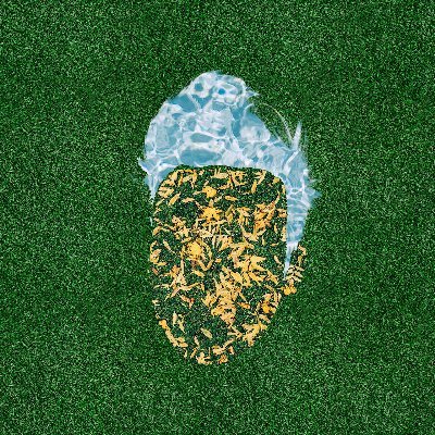 informationism's profile picture. definitely stop believing