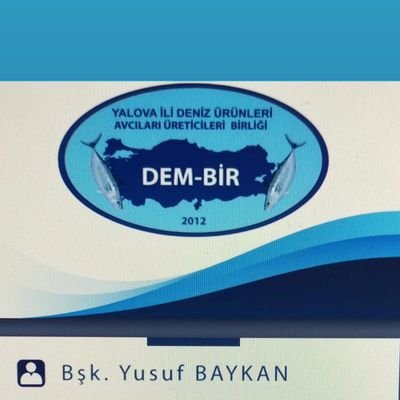 YALOVA İLİ DENİZ ÜRÜNLERİ AVCILARI ÜRETİCİLERİ BİRLİĞİ