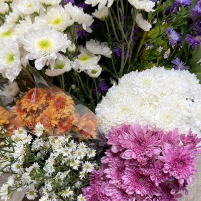 ggttmm_'s profile picture. 