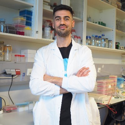 Oscar_Freire_A's profile picture. Postdoc at @NeurObesity_Lab
