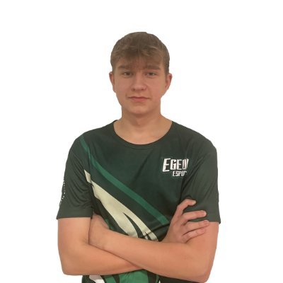 RayziNNCS Profile