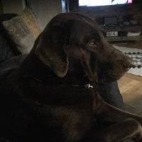 Ted (@karlalfred10) 's Twitter Profile