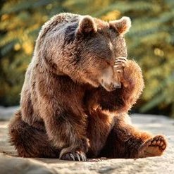 JackT_JackT's profile picture. God save Europe from savages, green/red communists and abnormal humans! A honest witness does not lie; a false witness breaths lies. #PociągPrawych