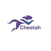 CHEETAH(@cheetah_racing6) 's Twitter Profile Photo