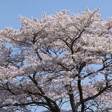 2025年日本保守党家族会員になりました。
日本を豊かに強くを胸に☺️
Xの使い方が未熟にて失礼あったらごめんなさい。