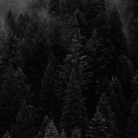 Suspect (@ciuhrii_bogdan) 's Twitter Profile