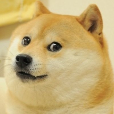 Doge Coin to the moon