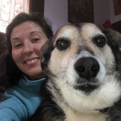 GordiFluengo's profile picture. 