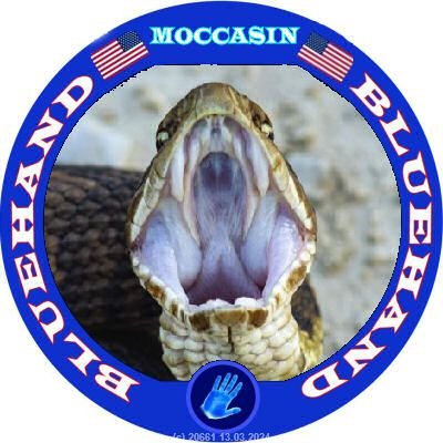 The_Moccasin_'s profile picture. 