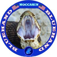 Moccasin(@The_Moccasin_) 's Twitter Profile Photo