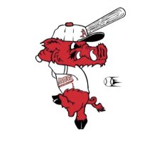 Howell Foster (@razorbacker66) 's Twitter Profile