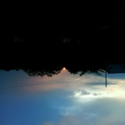 thedarkel_'s profile picture. Thoughts - The only entities that are yours, truly.