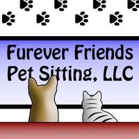 Furever Friends Pet Sitting(@FSitting4595) 's Twitter Profile Photo
