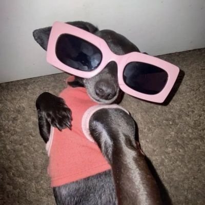 lrranielle's profile picture. 