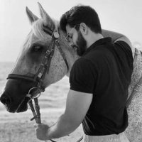 Fawaz (@fawazalzah4) 's Twitter Profile