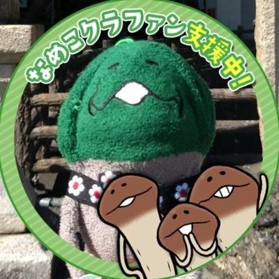 champignon好きから、NAMEKO好きへ！NAMEKO、枯れNAMEKO、マサル、それと旅やお出かけの相棒・KINOKONAMEKOが好き。
あだ名『きゅうり』（NAMEJIRO命名）
多忙のため、フォローしているorフォロワーさん以外の通知は切っております。