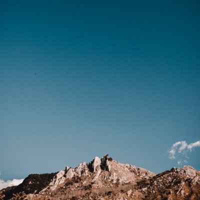 tlimohaned's profile picture. 