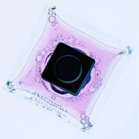 # (@signalfocuser) 's Twitter Profile