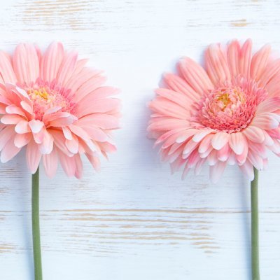 CJSapix2027's profile picture. 中受関係のアカウントをフォローさせて戴く為のアカウントです。
SAPIX在籍2027年組の保護者です。
この名前とアイコンに見覚えのある方がいらっしゃいましたら、生温かく見守って戴けますと幸いです。
ブログがメインですが、時々コチラでも呟きます。