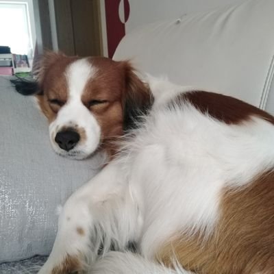 wooko48's profile picture. 