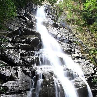 青山不改，绿水长流，我在顶峰等你