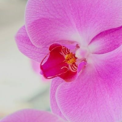 ClaraL009's profile image