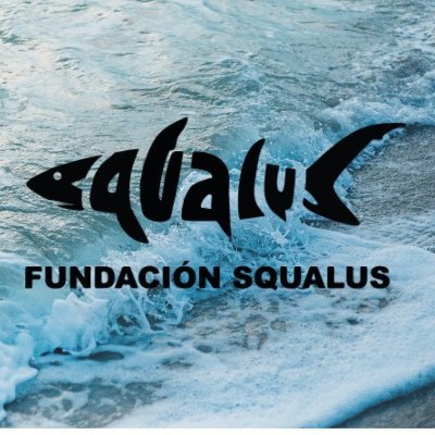 Somos una organización pionera en Colombia en el estudio de tiburones y rayas, que aporta conocimientos científicos y técnicos.