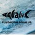 Fundación SQUALUS (@SQUALUS_org) Twitter profile photo