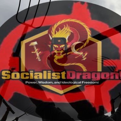 DragonRevolt Profile Picture