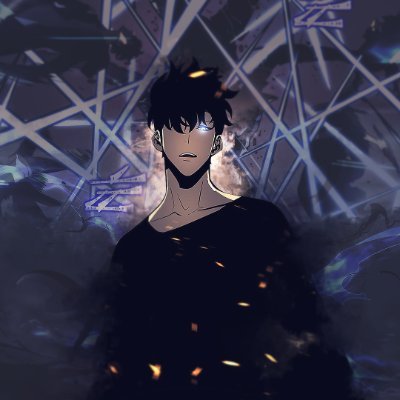 29SecondChoice's profile picture. Solo Leveling