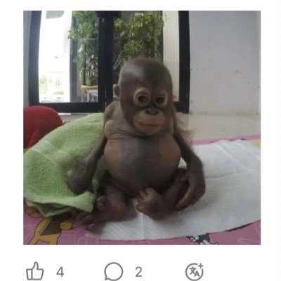 WD4D splatoon Profile