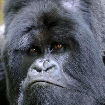 andrusvargast's profile picture. 