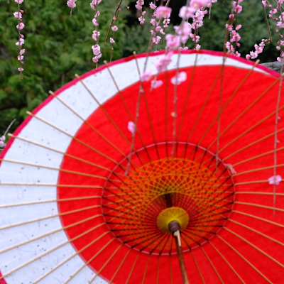 木花朔耶のサブ垢作ってみたので
ゆるゆるとポストしますw　岐阜愛知三重メイン　写真は多め