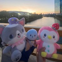 m (@m_1211tsuru) 's Twitter Profile