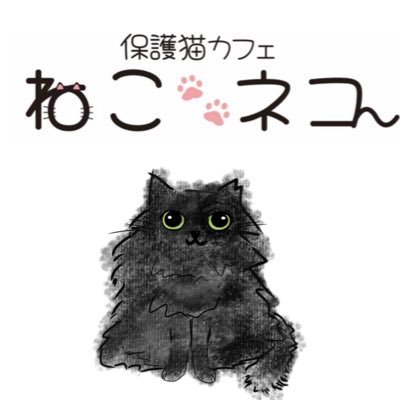 里親募集中‼︎JR和泉府中駅から徒歩5分 2024年3月7日-OPEN-✨- 2F 【営業時間 10:00 〜 18:00】 【定休日 毎週水曜日 第2・第4土曜日】 連絡先 【070-9223-2220】 https://t.co/roqkYmRD8Q