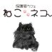保護猫カフェ ねこ🐾ネコ (@nekonekopcc) Twitter profile photo