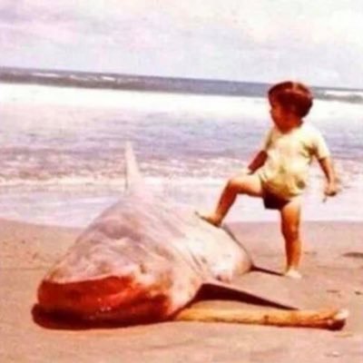 hexgainz5555's profile picture. 