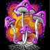 Psychedelic Mushrooms (@MikeGriffey2) Twitter profile photo