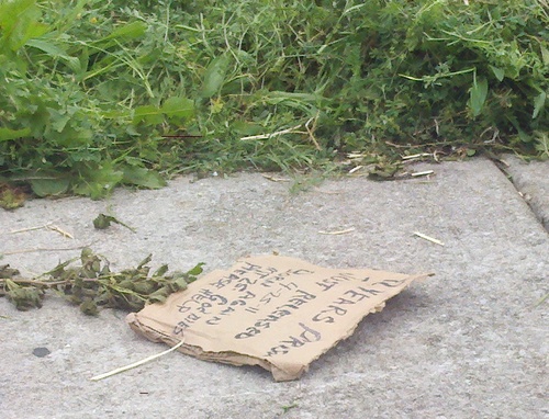 InMyHeadImSayin's profile picture. This is all of the shit I wish I could say but can't due to employment or feelings....often both.... So I say it in my head and try to remember to tweet it.