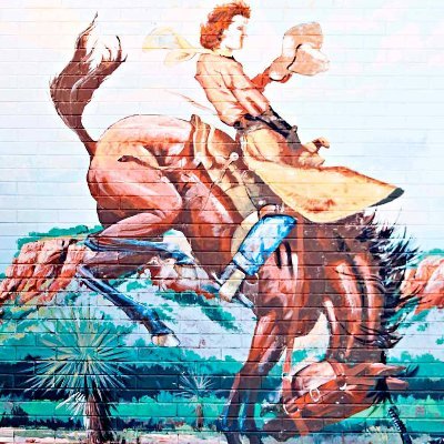 ftworthgrl's profile picture. Born Texan. Texan for life.