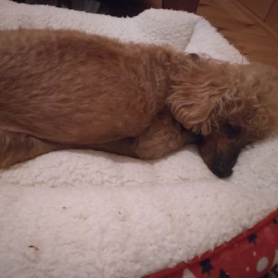 iiprvMqUW1cXsBW's profile picture. モデリナ