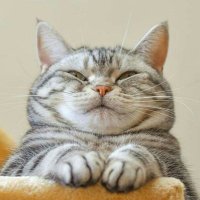 ✨หนุ่มไทหน้าตาบ้านๆ (@swingklng) 's Twitter Profile