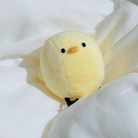 ぴよりん@FX勉強 (@fxyz_01) Twitter profile photo