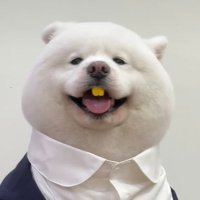 胖子铭 (@bigbigwanzi) Twitter profile photo