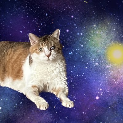 om_tama_om's profile picture. Om Saha Naa vau vatu Saha Nau Bhunaktu Saha Viiryam Kara vaavahai Tejasvi Naav Adhiitam Astu Maa Vidvissaavahai Om Shaantih Shaantih Shaantih 錐体ジストロフィー👀マイクラ始めた